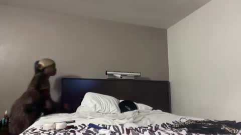 GamerBaddieLux online show from November 2, 2:37 am