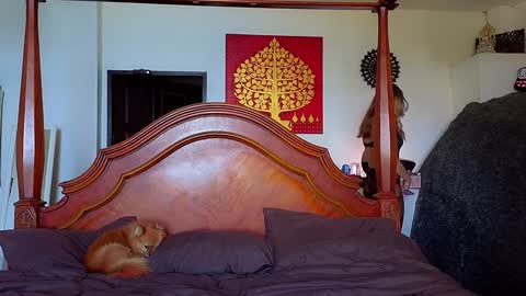 DemiDee online show from March 5, 6:12 am