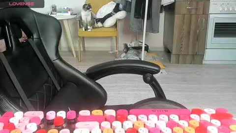 Alis online show from March 2, 7:15 am