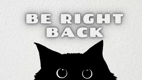 Stefany online show from February 11, 4:08 pm