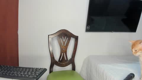_valentina_69 online show from June 11, 12:32 am