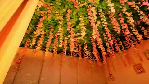   online show from April 12, 11:35 am