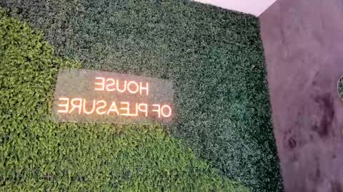 A B B Y online show from February 17, 11:44 am