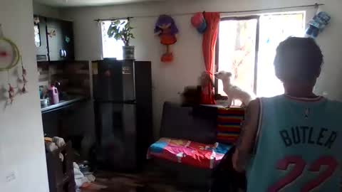 Abby online show from May 25, 4:39 pm