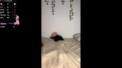 Alaska online show from February 25, 11:10 am