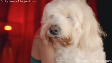 Alejandra online show from February 26, 1:15 am