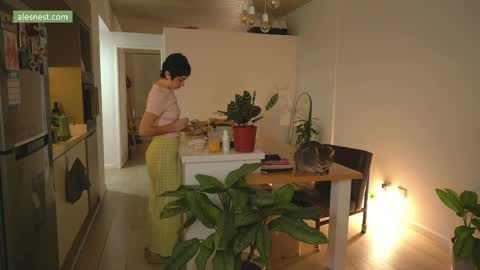 Ale online show from June 5, 1:09 am
