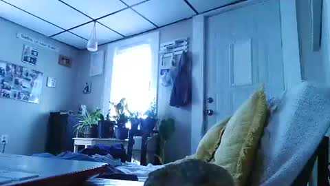 ali_tayler online show from November 8, 1:49 pm