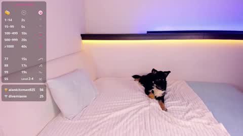 Alice online show from February 14, 6:04 am