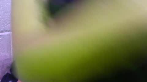 alicesherrera23 online show from October 28, 8:46 pm