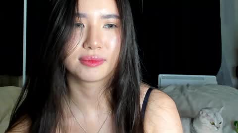 Snapshot of amina_artin chatting on December 15, 6:15 pm Amina online show from December 15, 6:15 pm