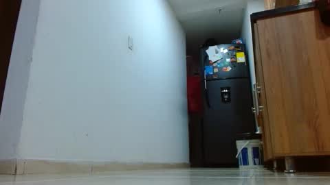 anaids online show from April 18, 10:53 pm