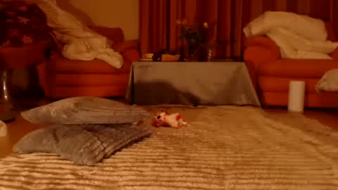 Andra online show from November 10, 9:21 pm