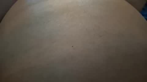 Anna online show from November 8, 10:26 pm