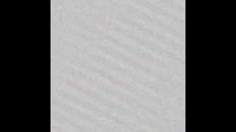 Arianna Collins online show from March 12, 12:04 pm