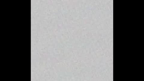 Arianna Collins online show from March 11, 11:23 am