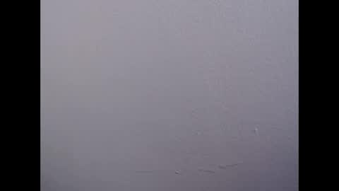 ariannaloovel online show from April 28, 10:02 pm