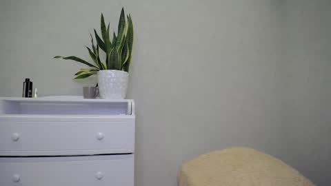 arinamir online show from February 5, 2:03 am