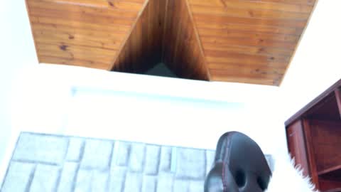 Azul online show from February 20, 12:18 pm