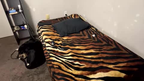 babie_girl_xo online show from March 7, 7:04 am