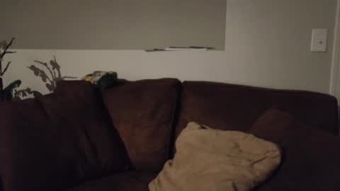 Bambi Farrina online show from March 8, 4:49 am