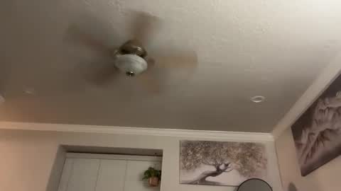 chicka online show from February 14, 5:42 am