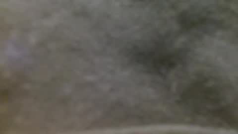 Bastet online show from May 20, 3:47 am
