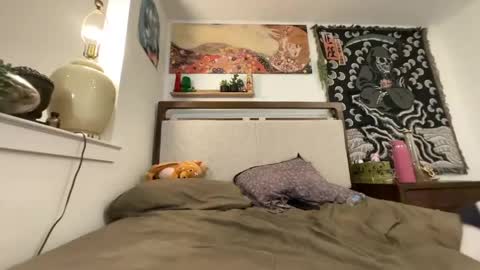 bbychrisdaboss online show from May 29, 3:04 am