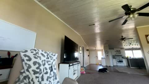 beccaraexoxo online show from June 25, 9:16 pm