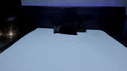 bella_dreamss online show from May 22, 3:37 am