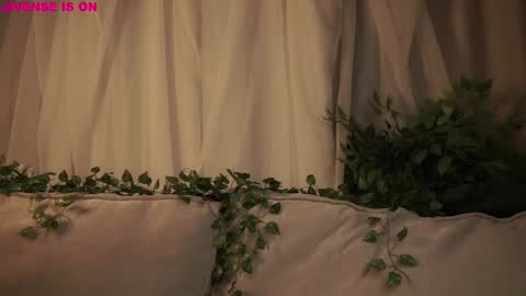 Eliz online show from February 12, 1:51 am