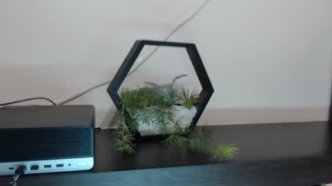 Ana online show from December 31, 12:46 pm