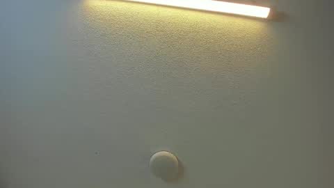 Brittany  online show from February 8, 8:45 pm