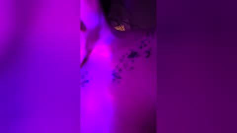brookie_cookie25 online show from July 14, 11:48 am