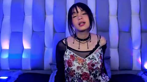 Cat  online show from December 2, 12:39 pm