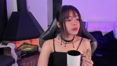 Cat  online show from December 24, 12:33 pm