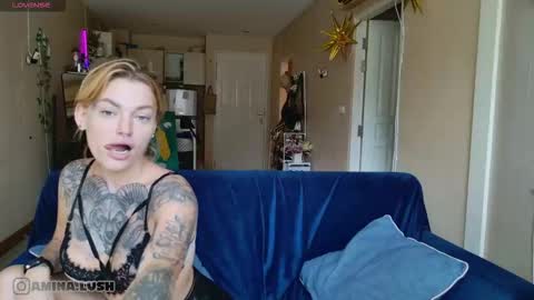 insta  online show from November 4, 8:19 am