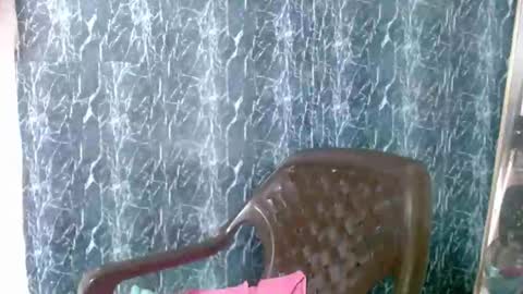 cherry online show from March 24, 2:55 pm