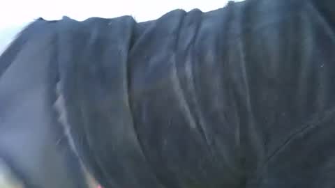 DivaDee online show from April 15, 9:48 pm