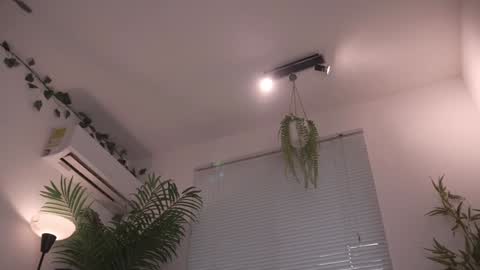 ROSELL 3   online show from November 3, 8:46 pm