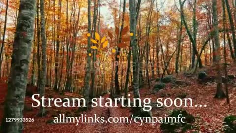 Cynpai online show from November 17, 4:24 am