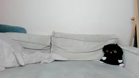 daenery_ online show from December 3, 12:38 pm