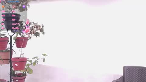 Darsha online show from March 17, 7:40 pm