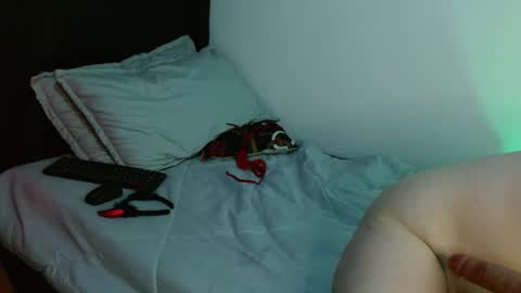 dayan online show from January 10, 2:27 am