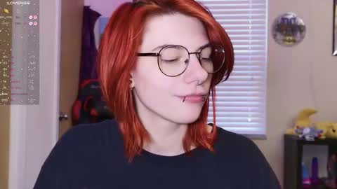 Rat online show from February 24, 4:05 pm