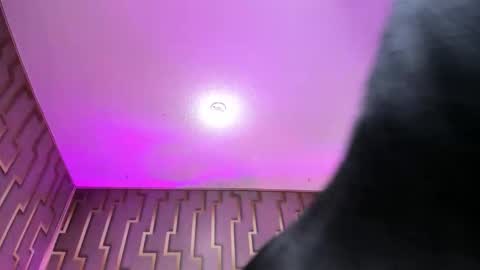 DENIN onlineMonday to Saturday 330 pm Chicago time online show from December 13, 8:37 pm