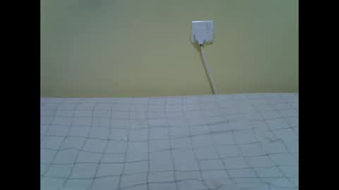 bellie online show from November 2, 12:08 pm