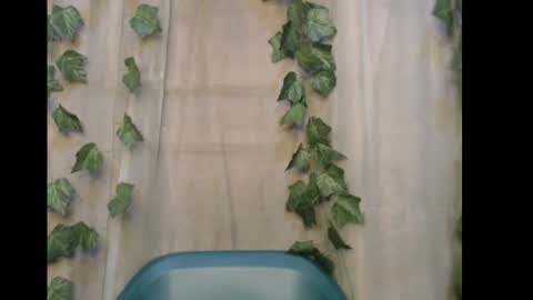 linda online show from January 9, 9:24 am