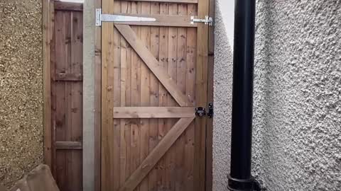 Snapshot of eatmypie69 chatting on September 23, 12:03 pm Nadia Ferreira  online show from September 23, 12:03 pm