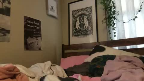eggnog_and_booty online show from April 26, 5:10 pm